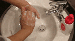 <b>及时向教育从管部分及属地疾控核心报</b>